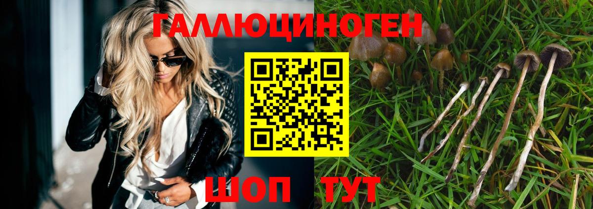 Псилоцибиновые грибы Psilocybine cubensis  цена наркотик  Людиново  Вход с VPN 