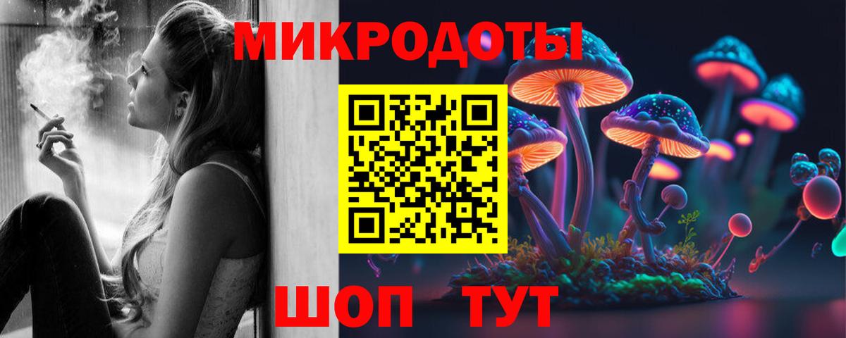 Галлюциногенные грибы Psilocybe Людиново